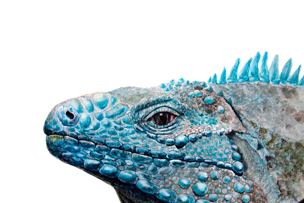 Leguan Tattoo Bedeutung