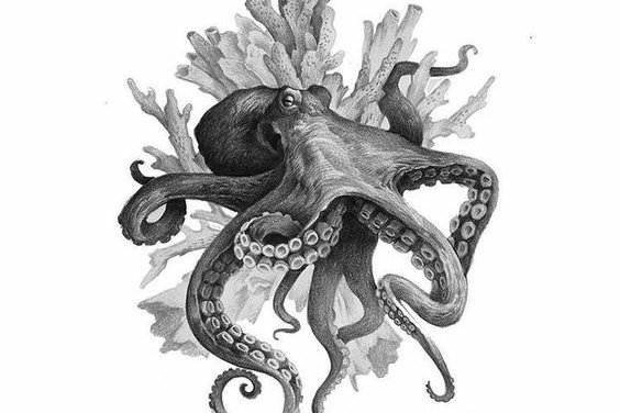 Oktopus Tattoo bedeutung