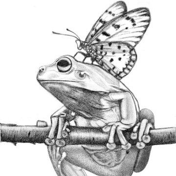tattoo frosch vorlagen