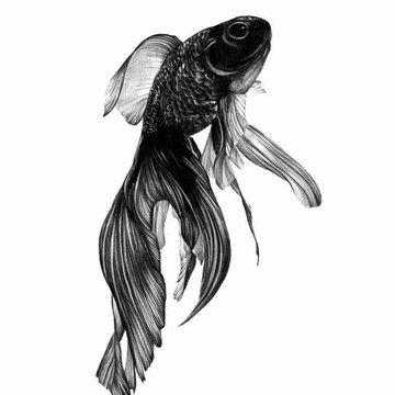 Fische Tattoos bedeutung