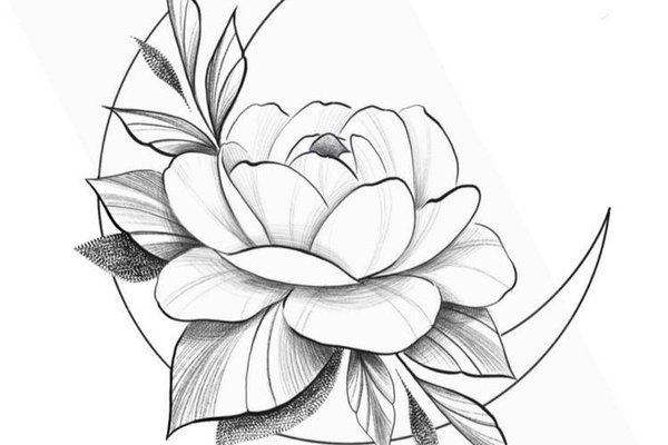 Kamelie Tattoo Bedeutung