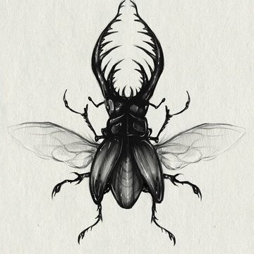 Skarabäus Tattoo Bedeutung