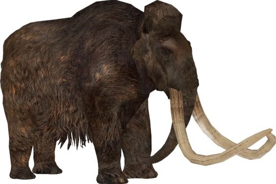 Mammut Tattoo bedeutung