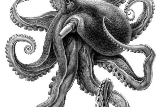 Oktopus Tattoo bedeutung