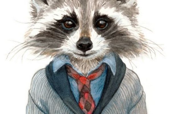 Waschbär Tattoo Bedeutung
