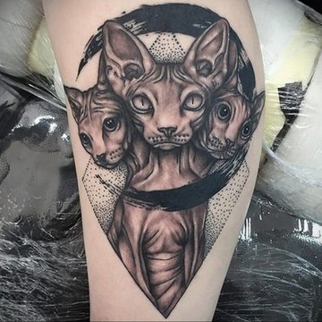 Sphinx Tattoo bedeutung