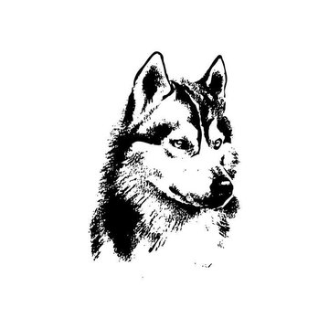 Husky Tattoo vorlagen