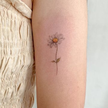 Tattoo Gänseblümchen (Kamille)