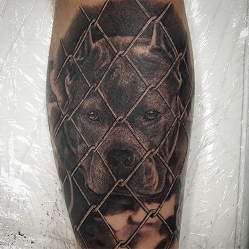 Pitbull Tattoo bedeutung