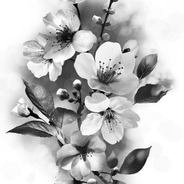 cherry blossom tattoo bedeutung