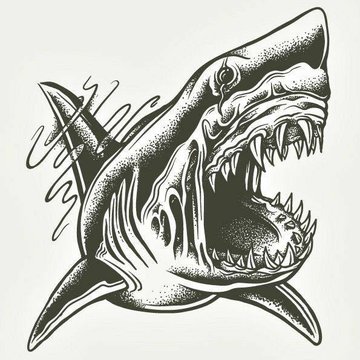hai tattoo bedeutung