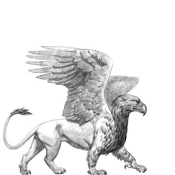greif tattoo bedeutung