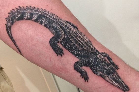 krokodil tattoo bedeutung