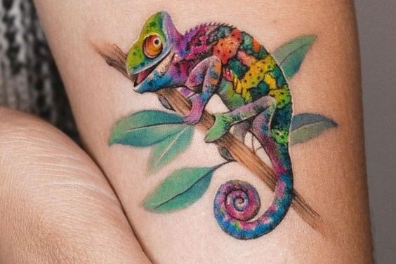 Chamäleon Tattoo bedeutung