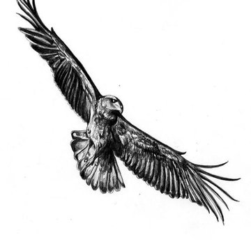 Falken Tattoo bedeutung