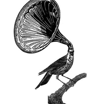 Grammophon Tattoo Bedeutung