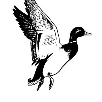 ente tattoo bedeutung