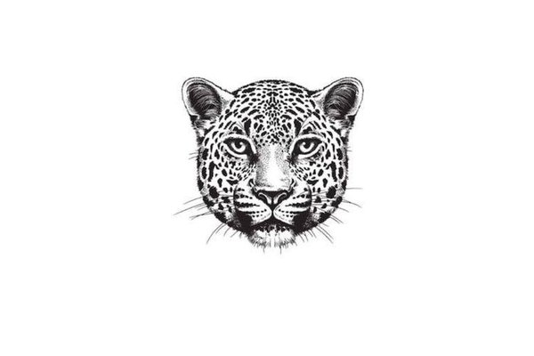 Jaguar Tattoo bedeutung