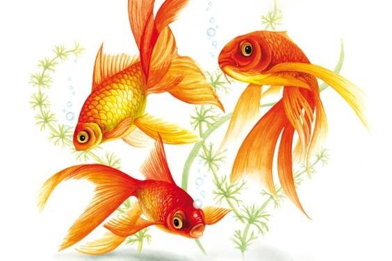 goldfisch tattoo bedeutung