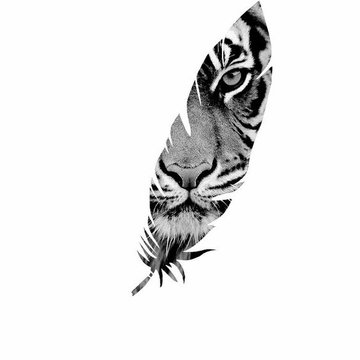 Federn Tattoo bedeutung