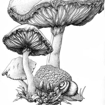 Pilz Tattoo Bedeutung