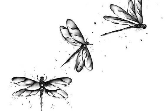 Libelle Tattoo bedeutung