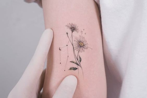 Tattoo Gänseblümchen (Kamille)