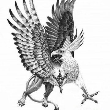 greif tattoo bedeutung