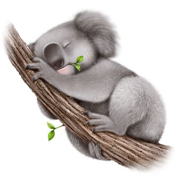 Koala Tattoo Bedeutung