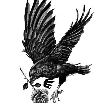 Rabe Tattoo Bedeutung