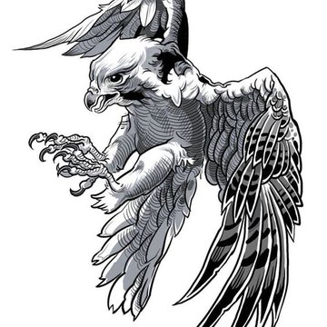 habicht tattoo
