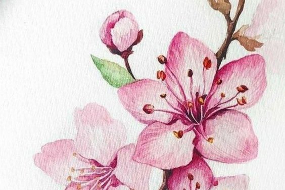 cherry blossom tattoo bedeutung