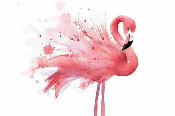 Flamingo Tattoo bedeutung