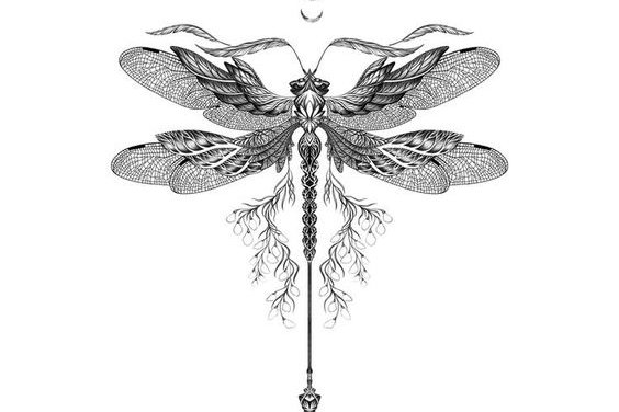 Libelle Tattoo bedeutung