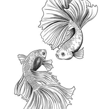 Fische Tattoos bedeutung