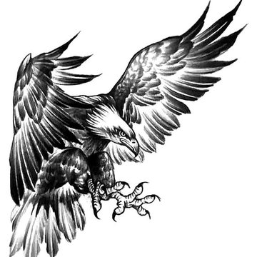 Adler Tattoo vorlagen