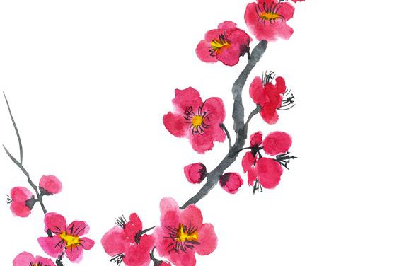 cherry blossom tattoo bedeutung