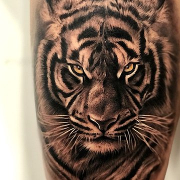 tattoo vorlagen tiger