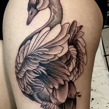 Schwan Tattoo Bedeutung