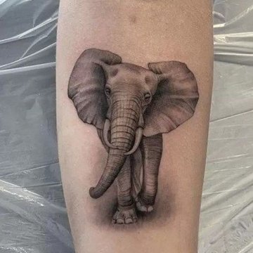 elefanten Tattoo bedeutung
