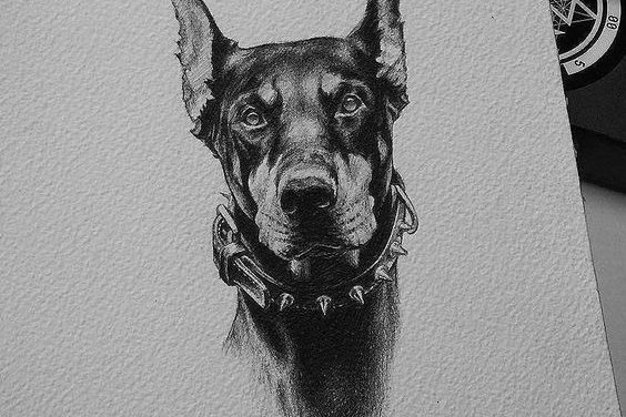 dobermann tattoo bedeutung