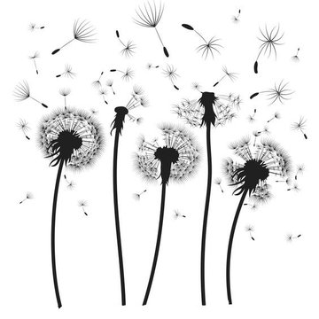 pusteblume tattoo bedeutung
