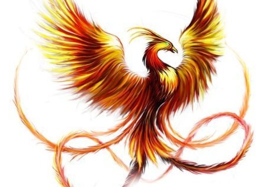 Feuervogel Tattoo Bedeutung