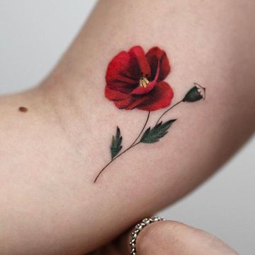 Mohnblumen Tattoo bedeutung