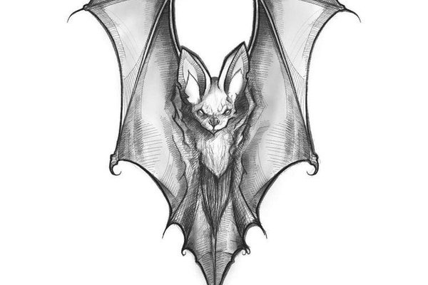 fledermaus tattoo vorlage