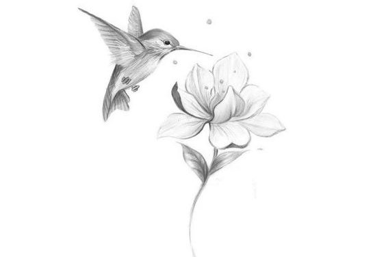 Kolibri Tattoo Bedeutung