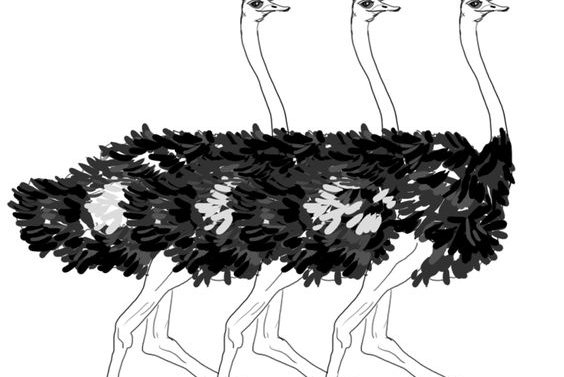 Ostrich tattoo vorlagen