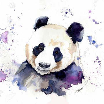 Panda Tattoo vorlagen