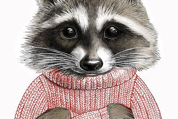 Waschbär Tattoo Bedeutung
