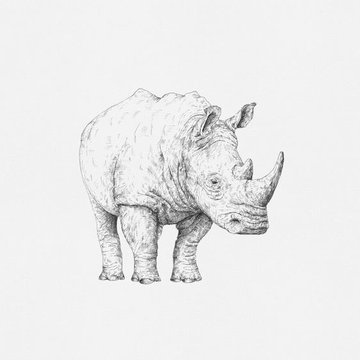 Nashorn Tattoo vorlagen